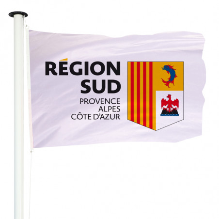 Un jeune porte-drapeau, représente la région Provence-Alpes-Côte-d