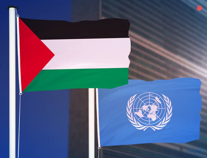 Le drapeau palestinien hissé pour la première fois à l'ONU - Jeune