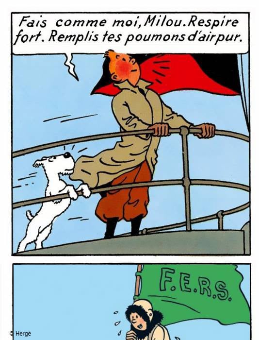 Le drapeau dans Tintin, la BD de Hergé