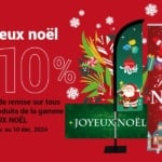 Offre spéciale déco Noël